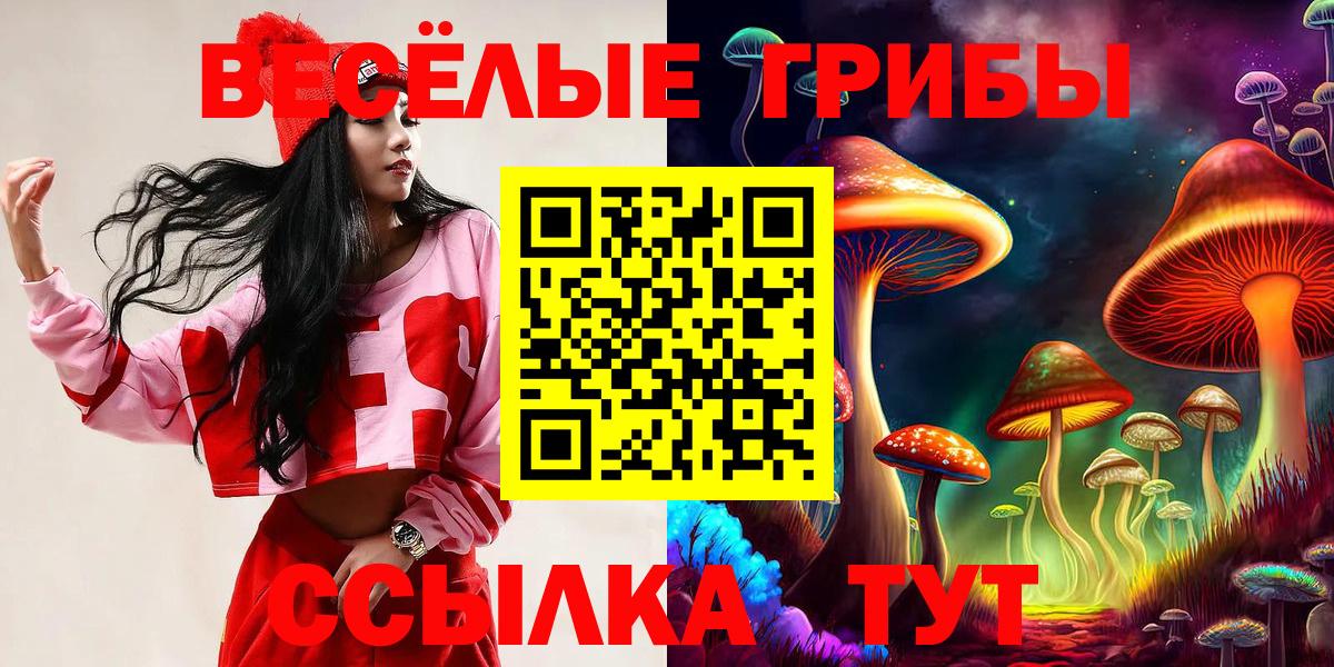 Галлюциногенные грибы Cubensis Изобильный